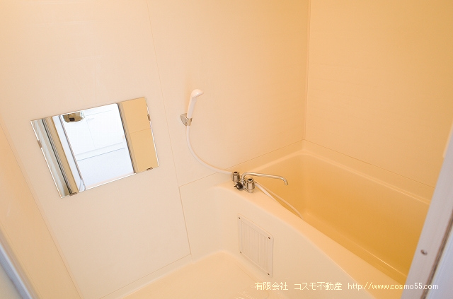 拡大してご覧になれます