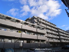 �n���S��k���򒆉��w �}���V���� 3LDK